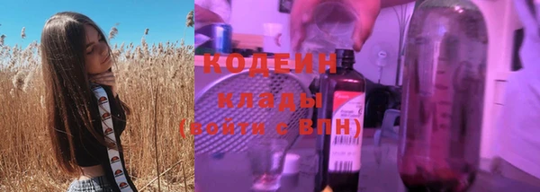 шишки Заводоуковск