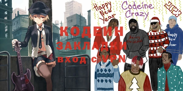 шишки Заводоуковск