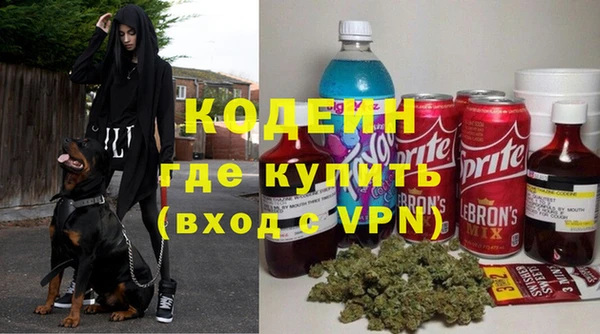 шишки Заводоуковск