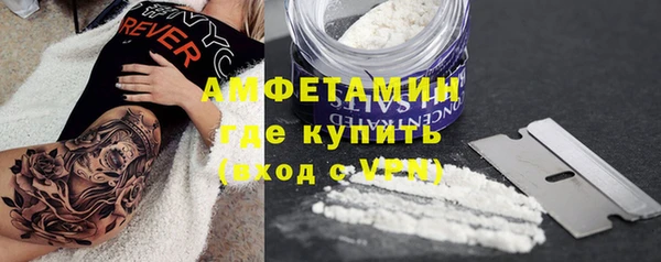 шишки Заводоуковск