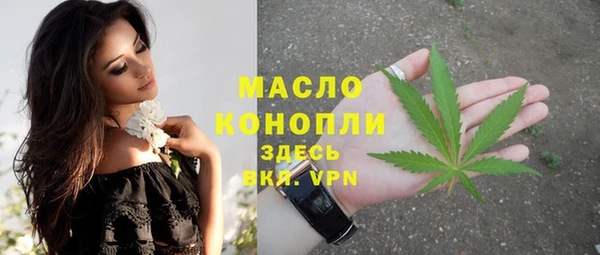 шишки Заводоуковск