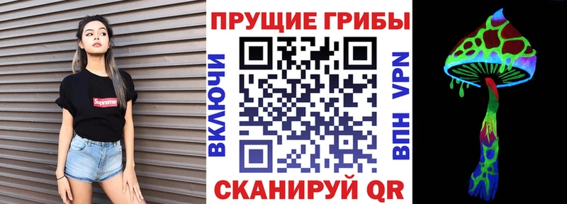площадка наркотические препараты  купить закладку  Светогорск  Галлюциногенные грибы Psilocybine cubensis 